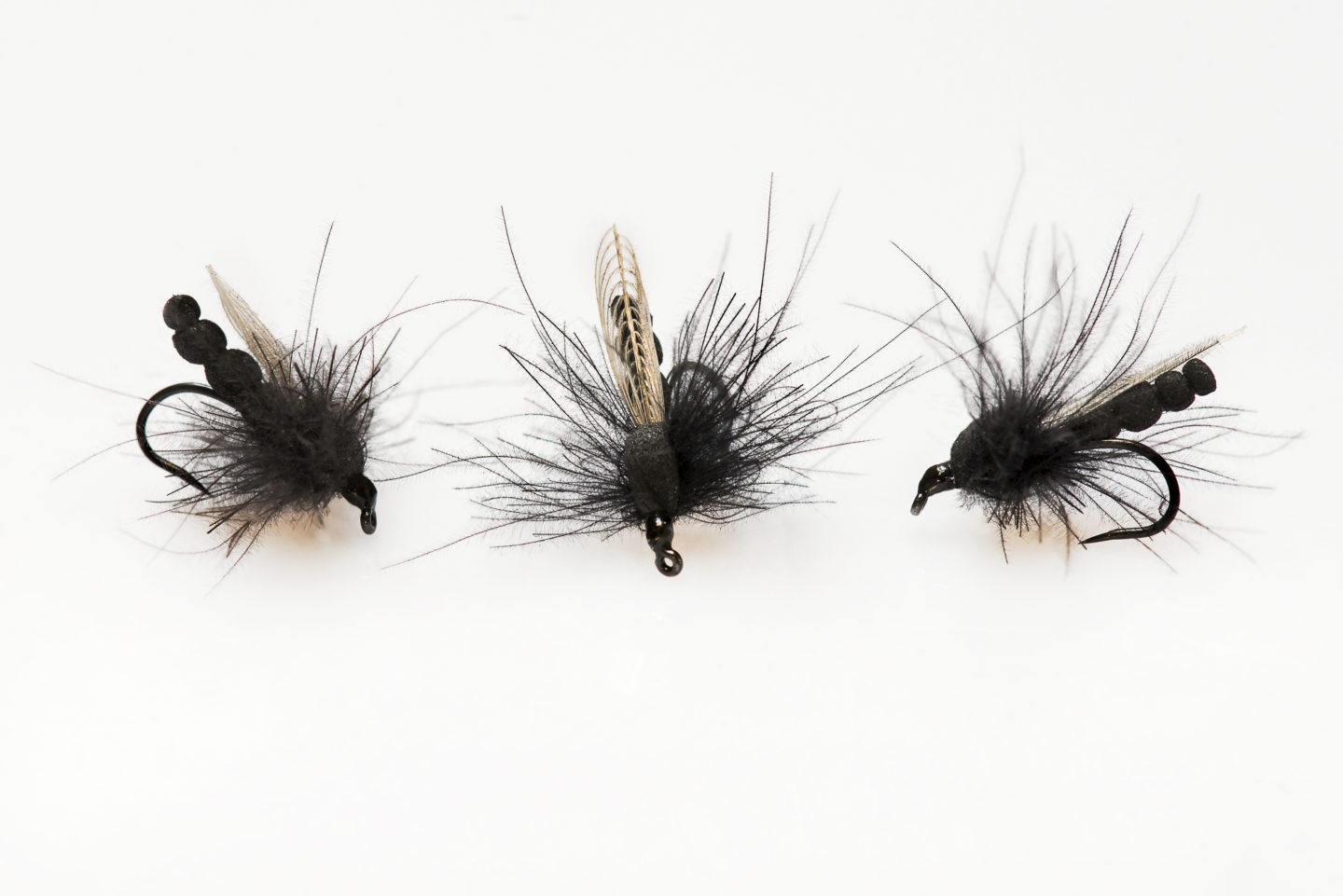 46 Bibio marci Les Mouches de Gerard